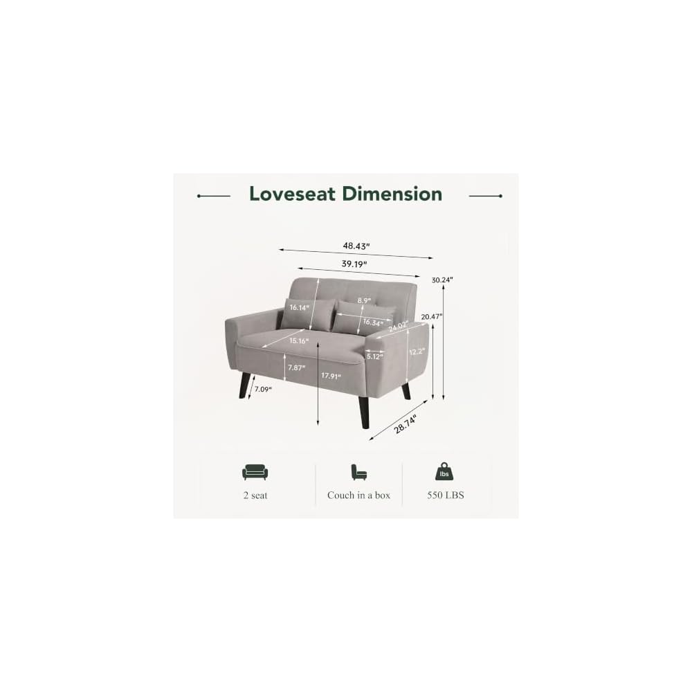 48.8" Small Loveseat Sofa, Mid Century Modern Love Seat Couch with Back Cushions and Plastic Legs, 2 Seater Couches for Living Room, Bedroom, Small Spaces, Light Grey